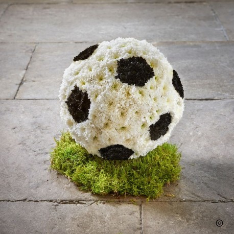3d Football