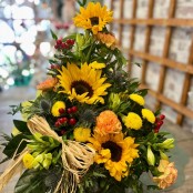 Sunflower Harvest